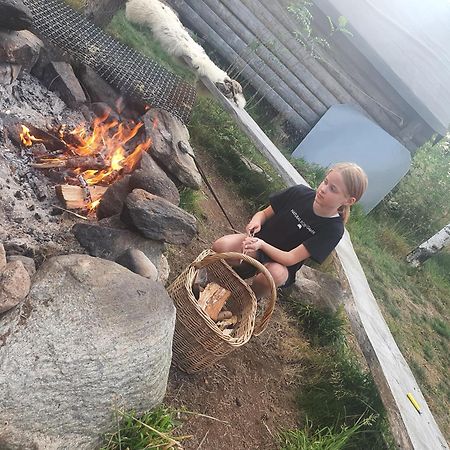 فيلا Vittfarnas Vikingaby Sosdala المظهر الخارجي الصورة